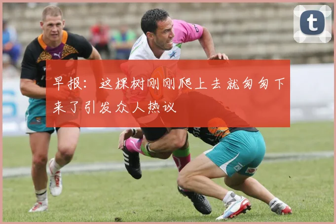 早报：这棵树刚刚爬上去就匆匆下来了引发众人热议